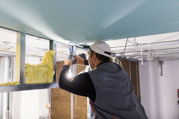 Best Spray Foam Insulation in Cloverdale, VA