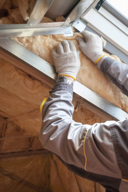 Best Insulation Maintenance and Repair in Cloverdale, VA