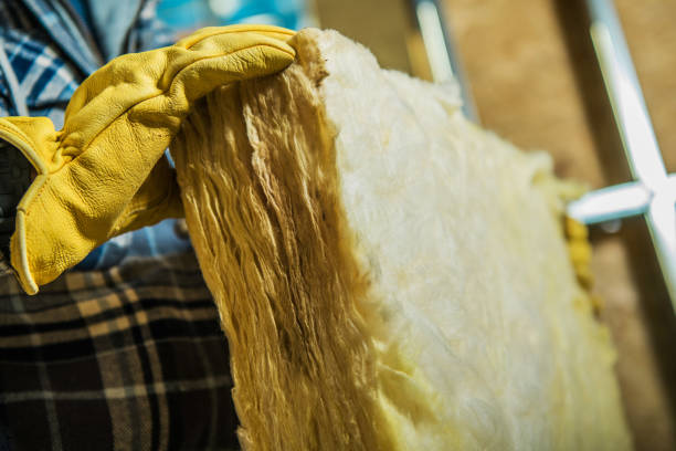 Trusted Cloverdale, VA Insulation Contractor Experts