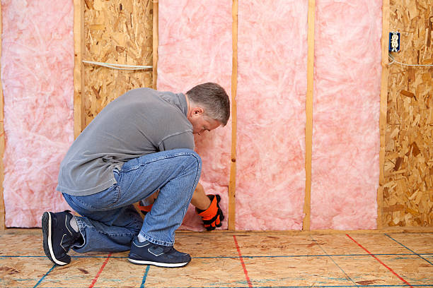 Best Insulation Maintenance and Repair in Cloverdale, VA