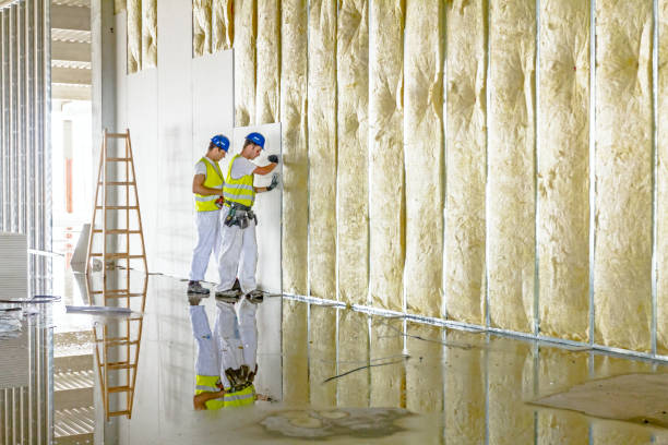 Best Geographic-Specific Insulation Services in Cloverdale, VA